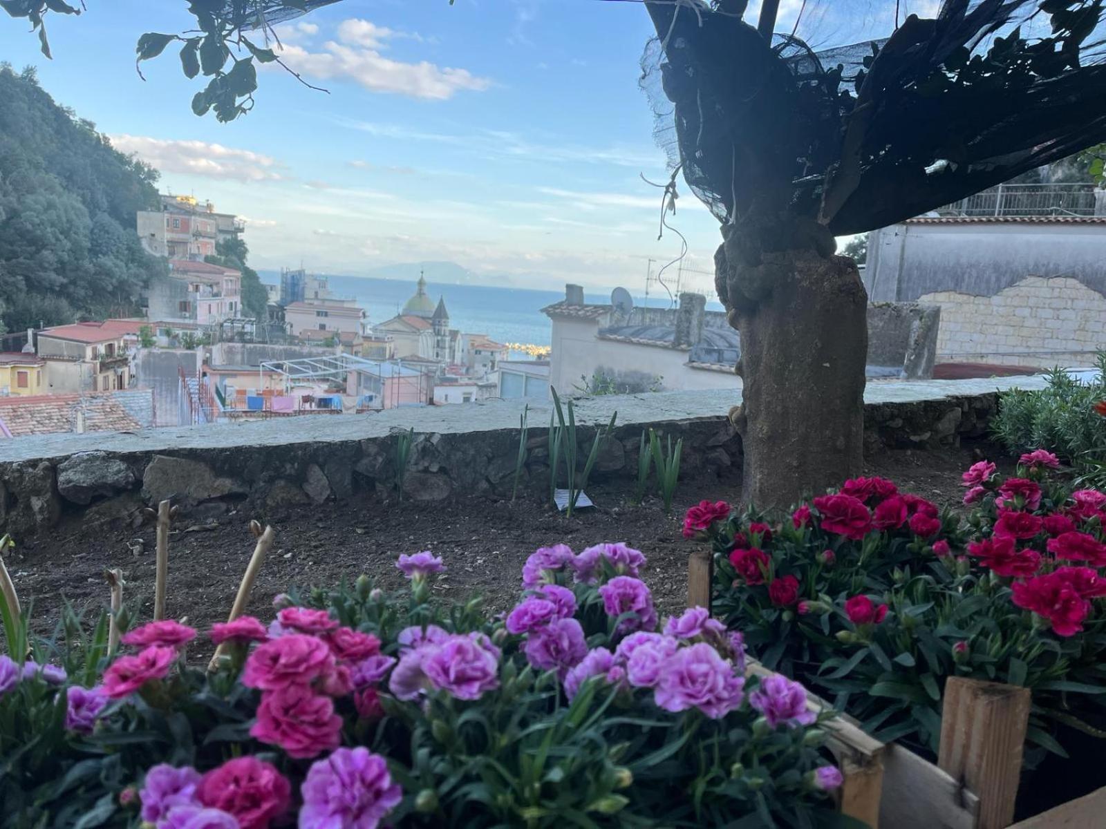 Appartamento Casa Nel Borgo Dei Gatti Cetara Esterno foto